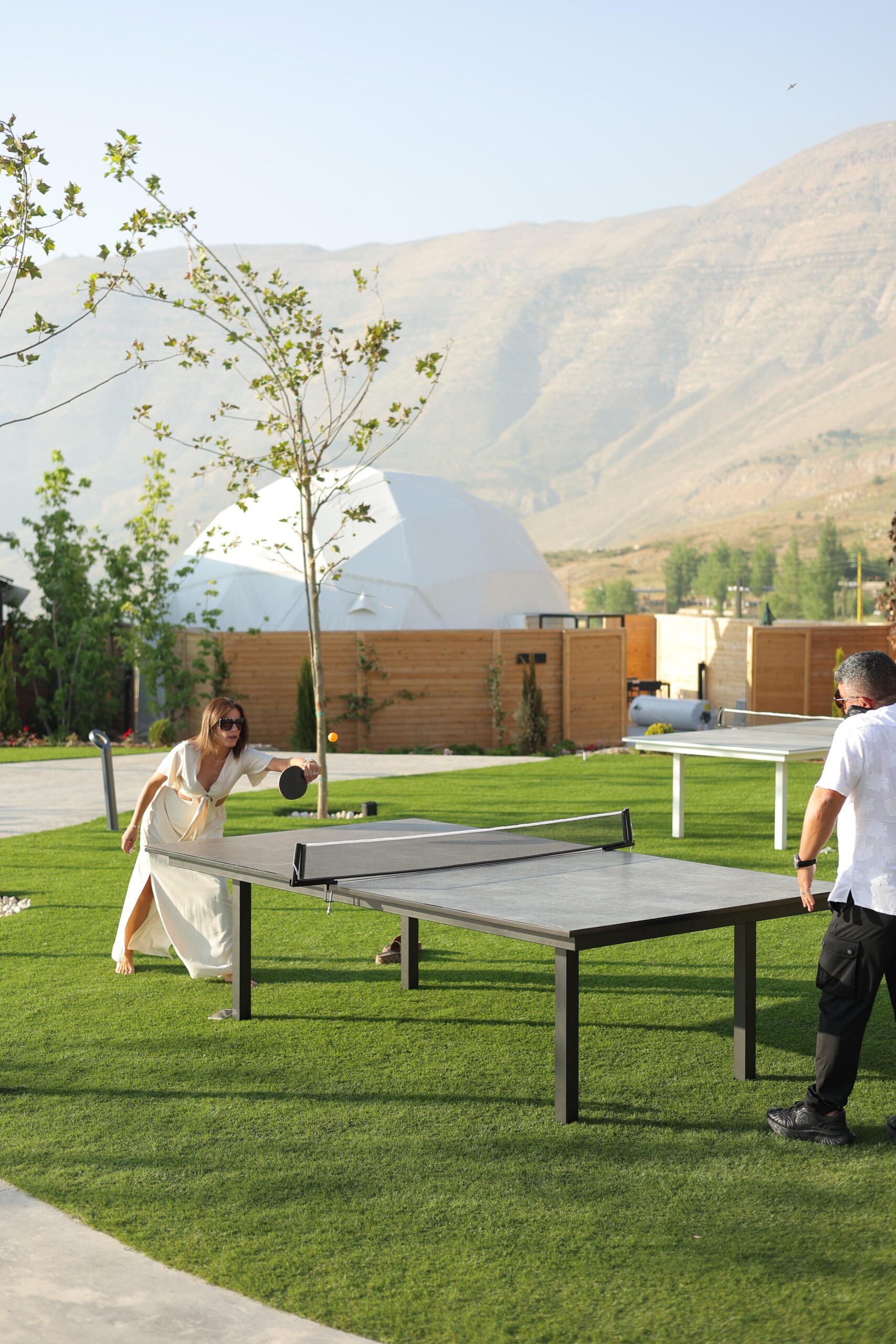 Ping pong table game